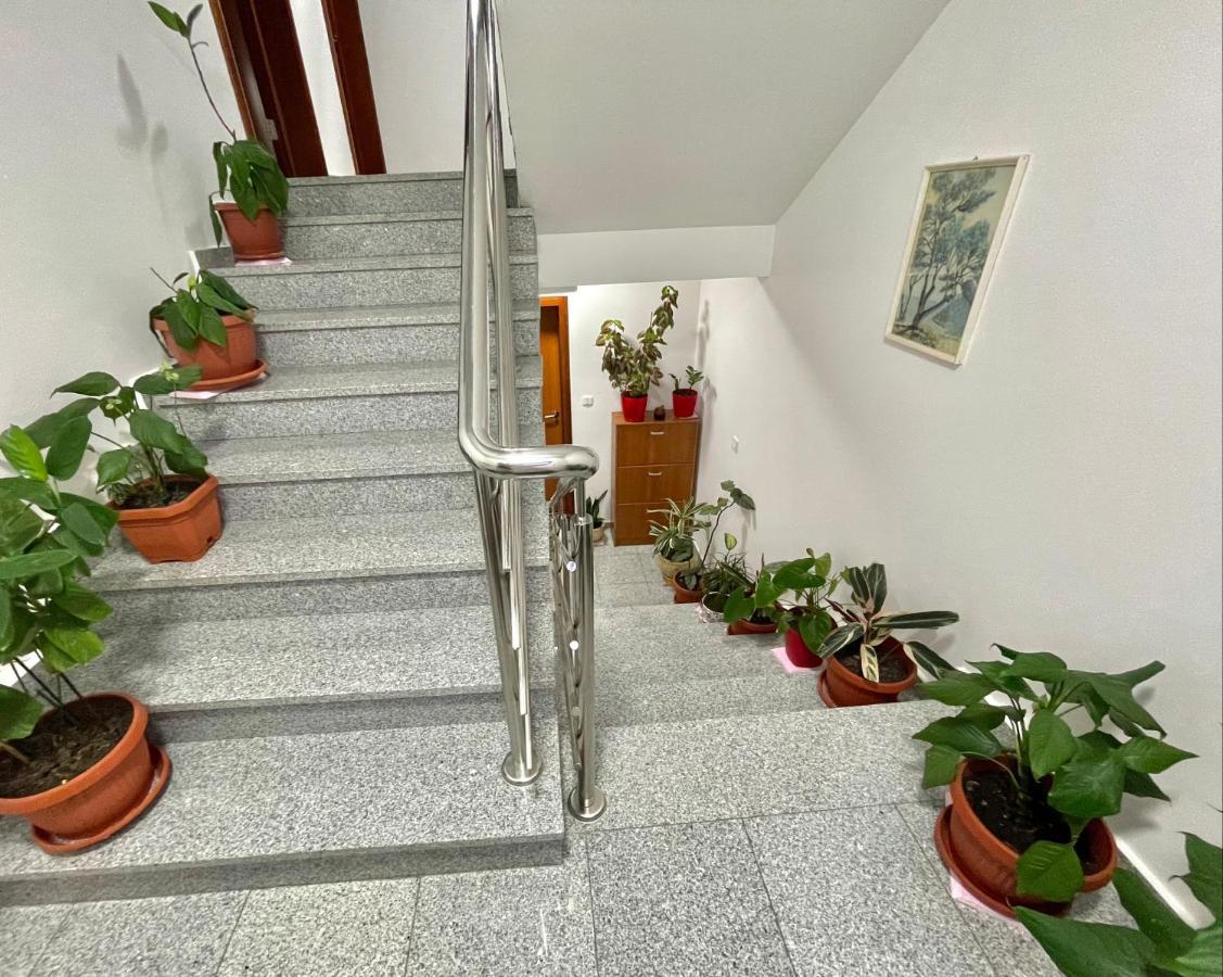Apartments Boreta Becici بودفا المظهر الخارجي الصورة